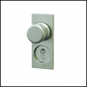 Silver handle for a manual door
